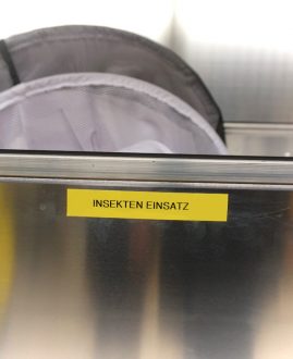 Schulung Insekteneinsätze