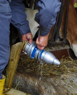 Technischer Einsatz