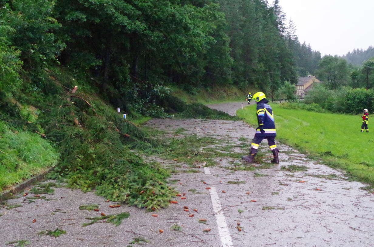 Brandverdacht und blockierende Bäume