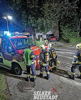 Brand einer Gartenhütte