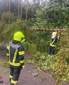 Erneuter Sirenenalarm