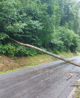 9. Einsatz